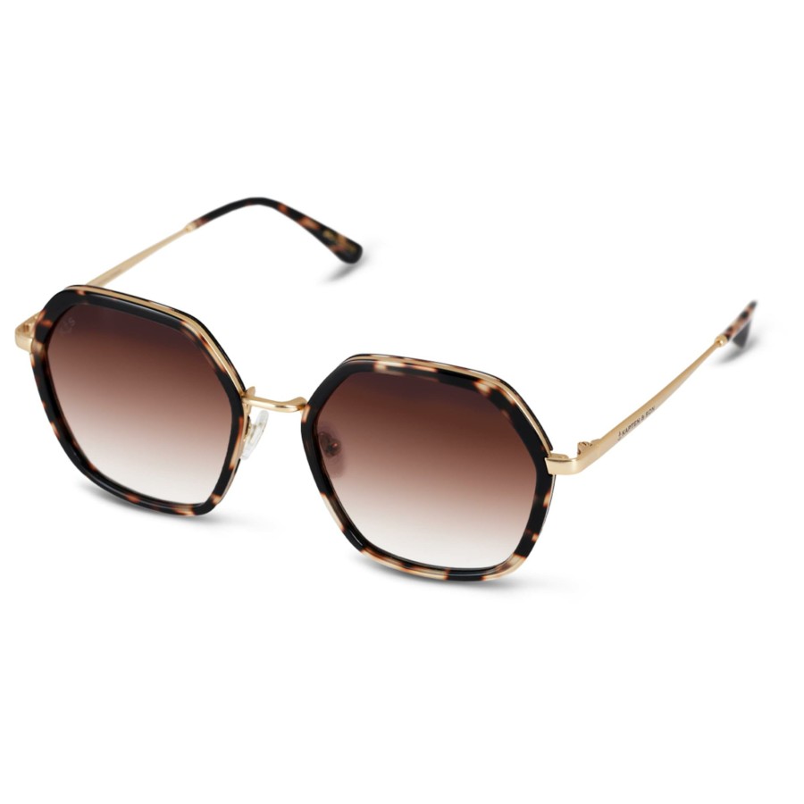 Brillen & Sonnenbrillen Amsterdam Edge | Amsterdam Edge Umber Tortoise Brown